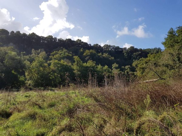 terreno agricolo in vendita a Roma in zona Campo Marzio