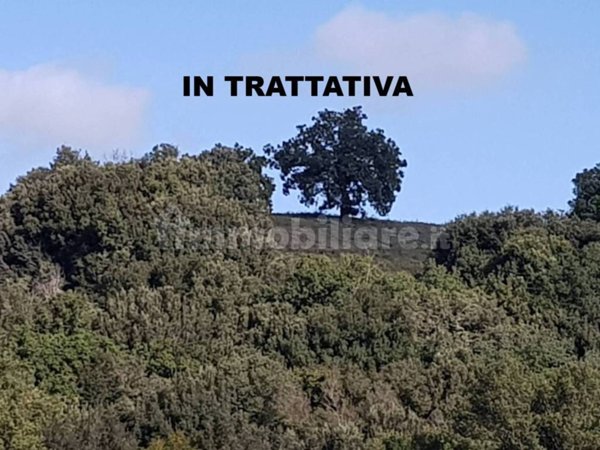 terreno agricolo in vendita a Roma in zona Campo Marzio
