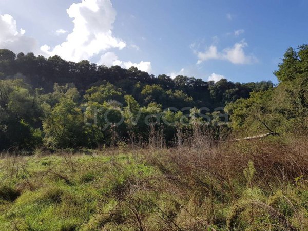 terreno agricolo in vendita a Roma in zona Campo Marzio