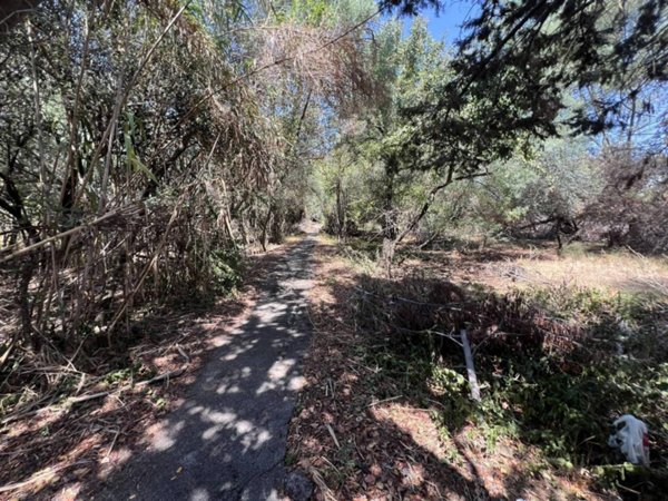 terreno agricolo in vendita a Roma in zona Infernetto