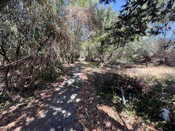terreno agricolo in vendita a Roma in zona Infernetto