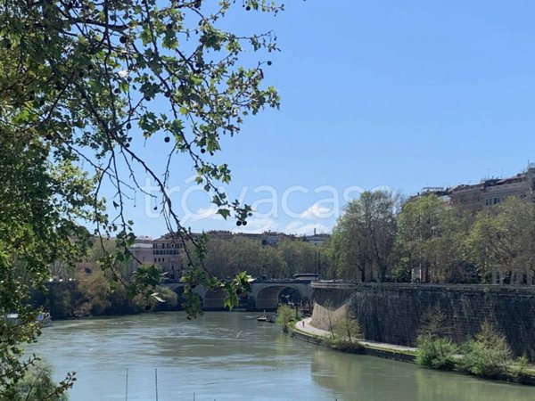 appartamento in vendita a Roma in zona Campo Marzio