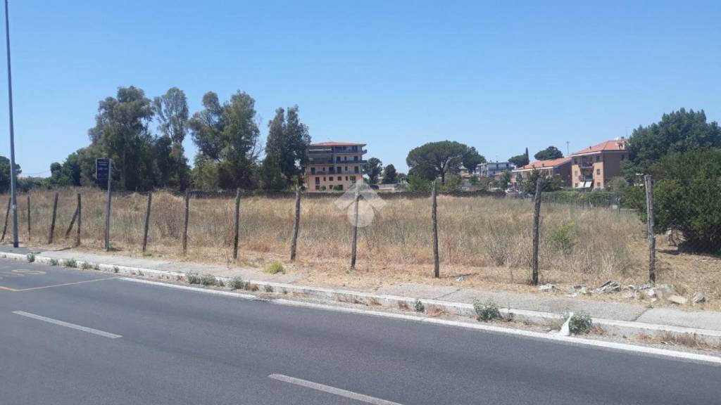 terreno agricolo in vendita a Roma in zona Tor Vergata/Torrenova