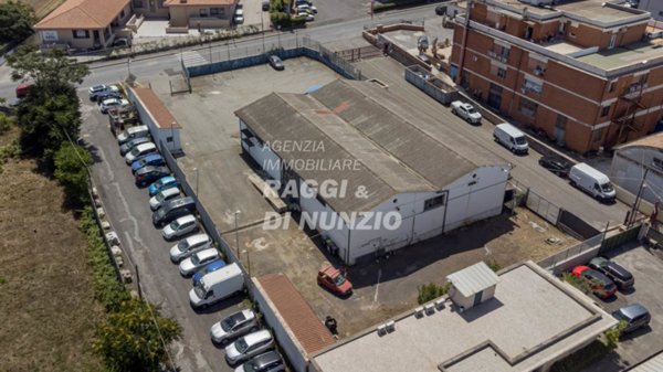 negozio in vendita a Roma in zona Tor Vergata/Torrenova