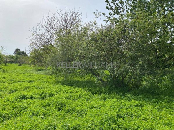terreno agricolo in vendita a Roma