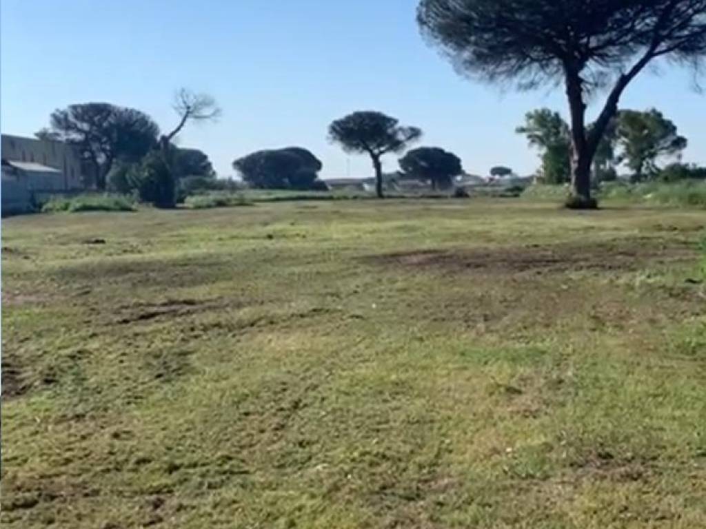 terreno agricolo in vendita a Roma in zona Casal Palocco