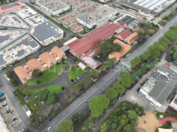 negozio in vendita a Roma in zona Trigoria