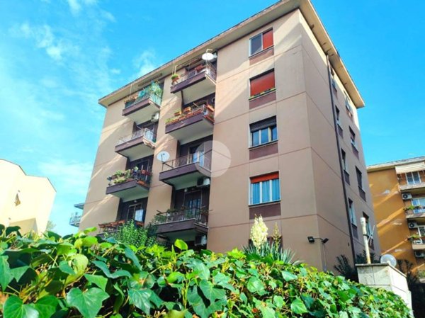 appartamento in vendita a Roma in zona Monte Sacro/Talenti