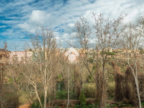 appartamento in vendita a Roma in zona Monte Sacro/Talenti