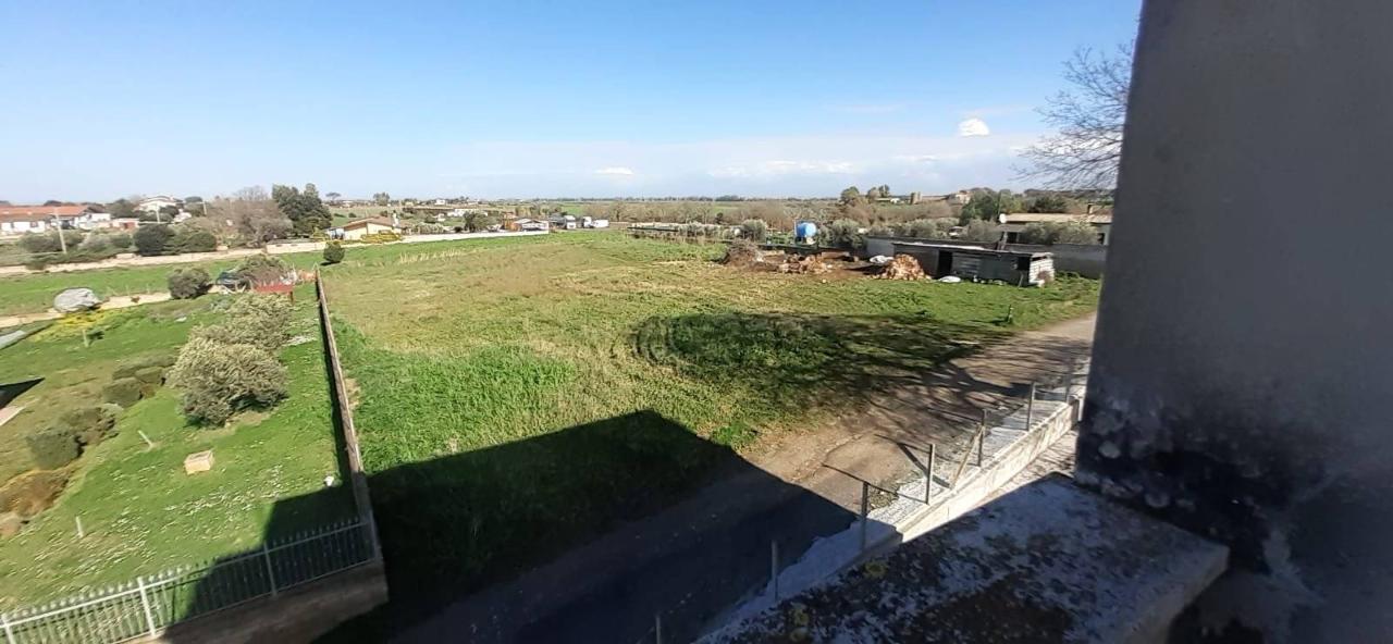 terreno agricolo in vendita a Roma in zona Castel di Guido