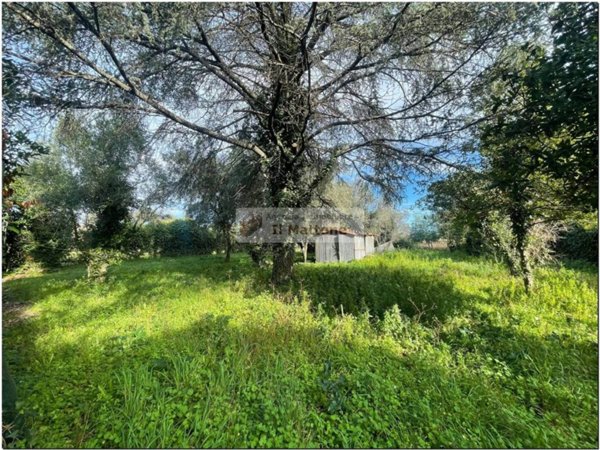 terreno agricolo in vendita a Roma