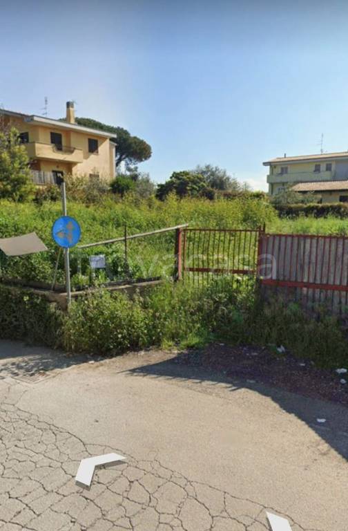terreno agricolo in vendita a Roma in zona Monte Migliore