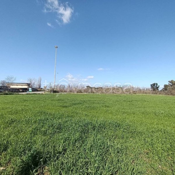 terreno agricolo in vendita a Roma in zona Massimina/Casal Lumbroso