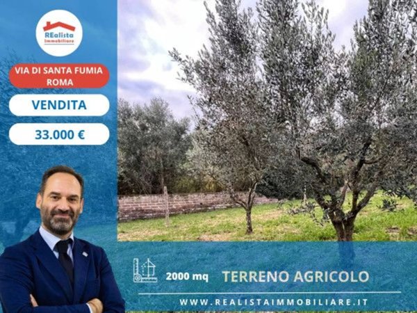 terreno agricolo in vendita a Roma in zona Spregamore