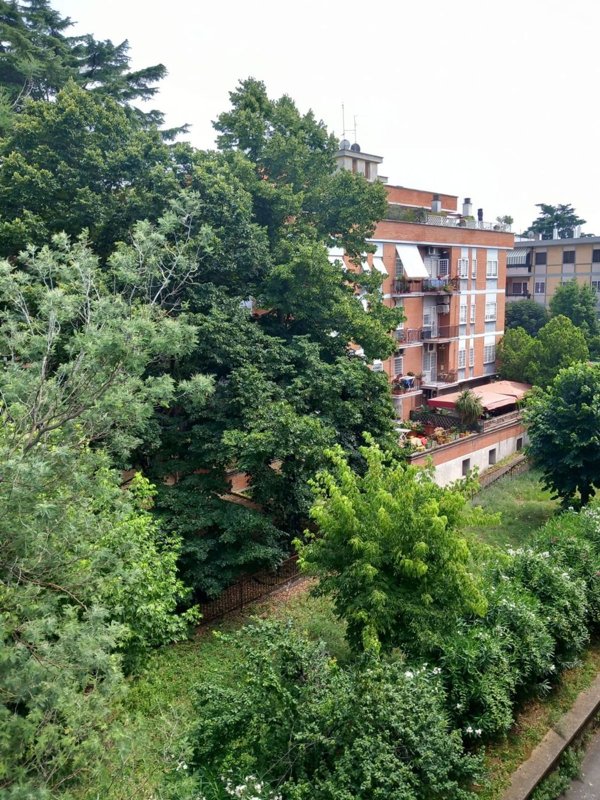 appartamento in vendita a Roma in zona Val Melaina