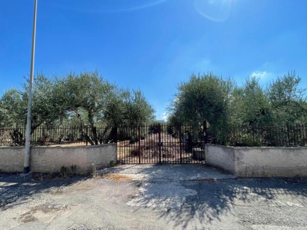 terreno agricolo in vendita a Roma