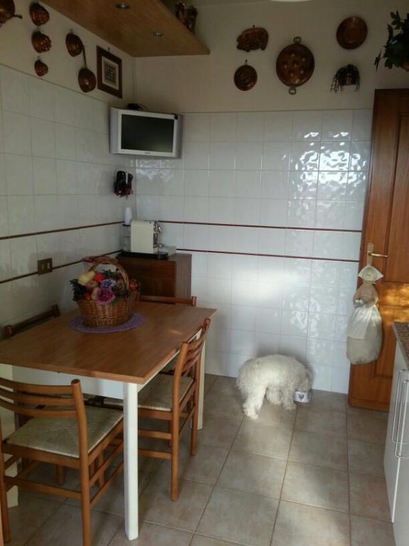 appartamento in vendita a Roma in zona Casalotti