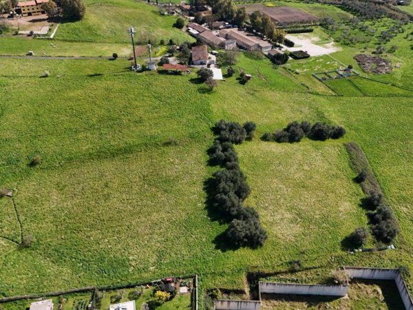 terreno agricolo in vendita a Roma in zona Giuliano Dalmata