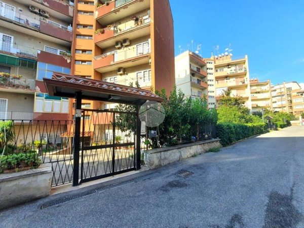 appartamento in vendita a Roma in zona Monte Sacro/Talenti