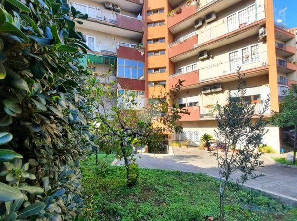 appartamento in vendita a Roma in zona Monte Sacro/Talenti