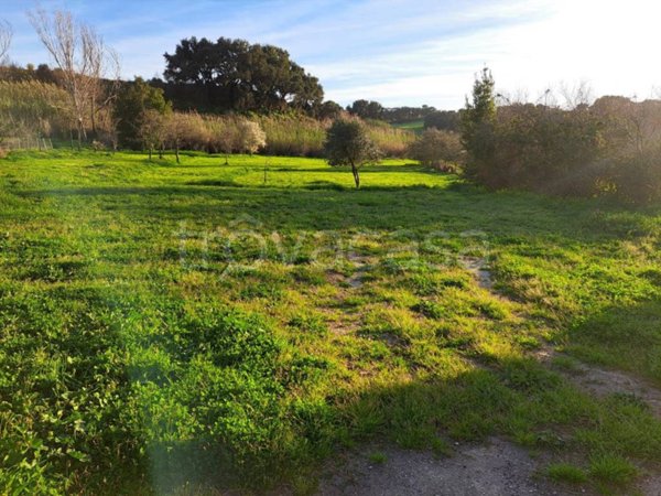 terreno agricolo in vendita a Roma in zona La Pisana