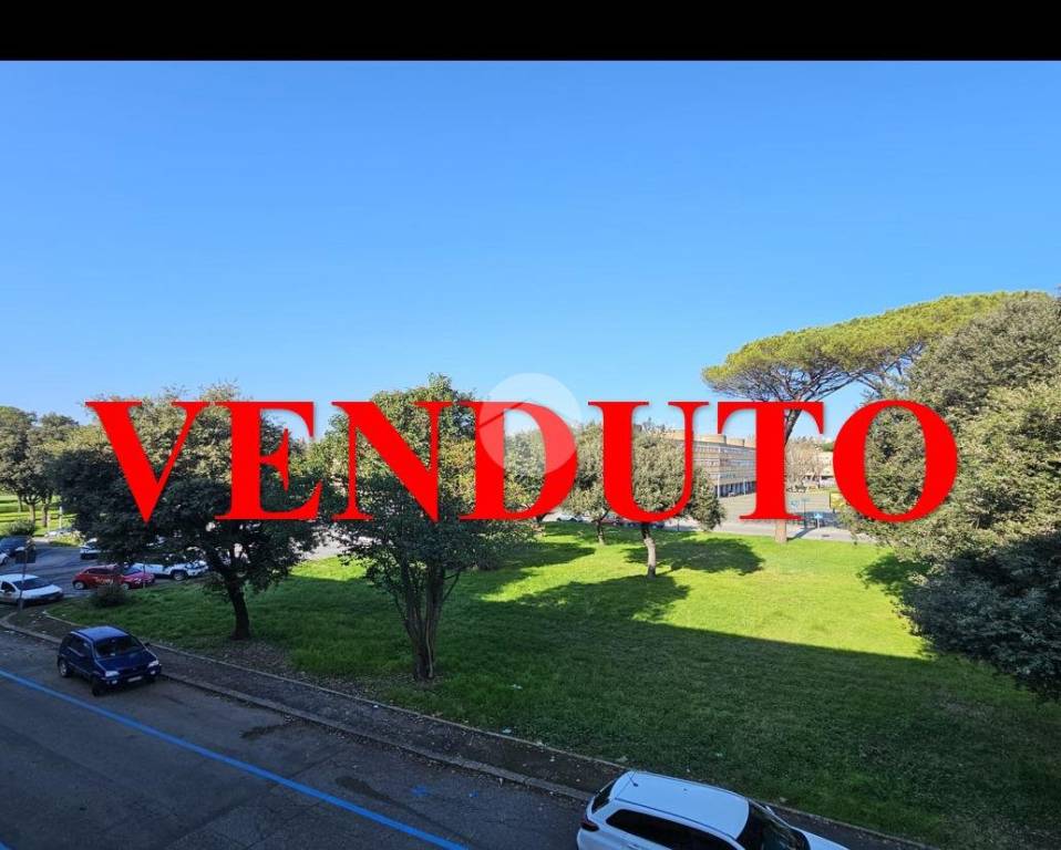 appartamento in vendita a Roma in zona Tor di Quinto