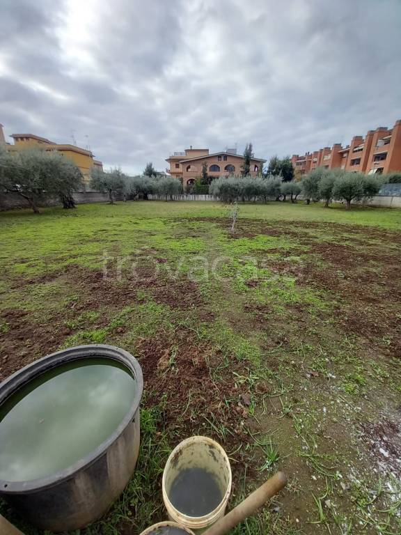 terreno agricolo in vendita a Roma in zona Torre Angela