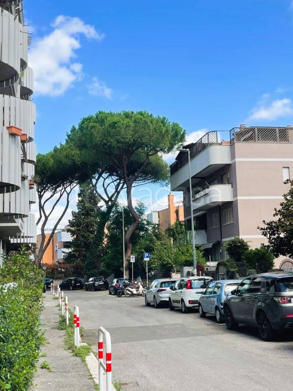 appartamento in vendita a Roma in zona Mostacciano