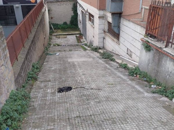 negozio in vendita a Roma in zona Casalotti