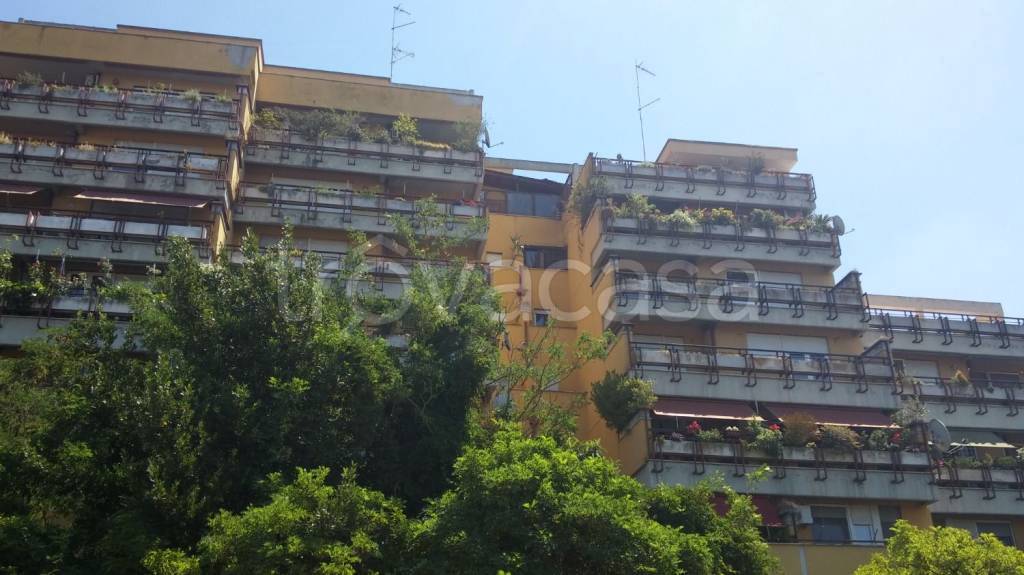 appartamento in vendita a Roma in zona Parioli