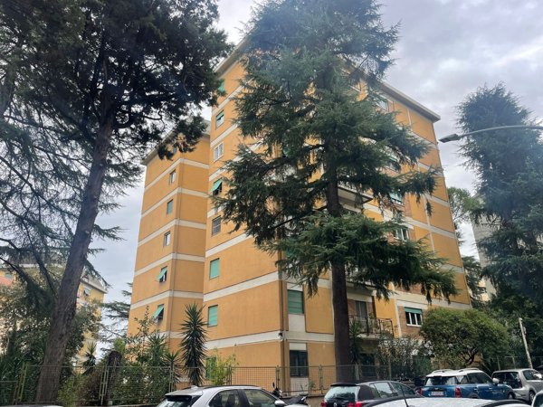 appartamento in vendita a Roma in zona Salario