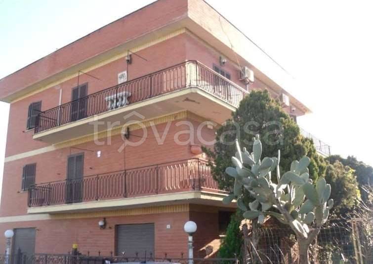 appartamento in vendita a Roma in zona Borghesiana