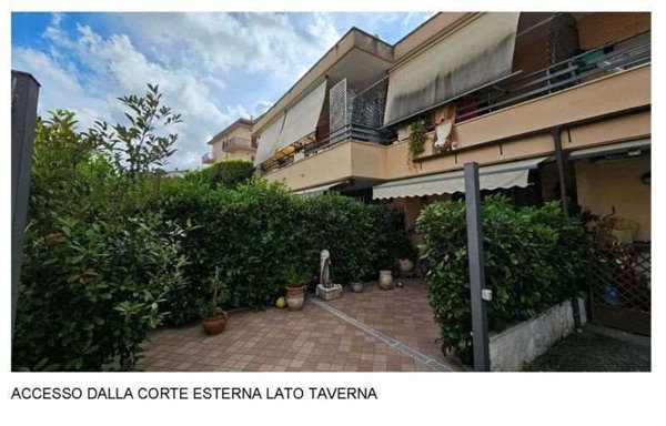 esavano in vendita a Roma