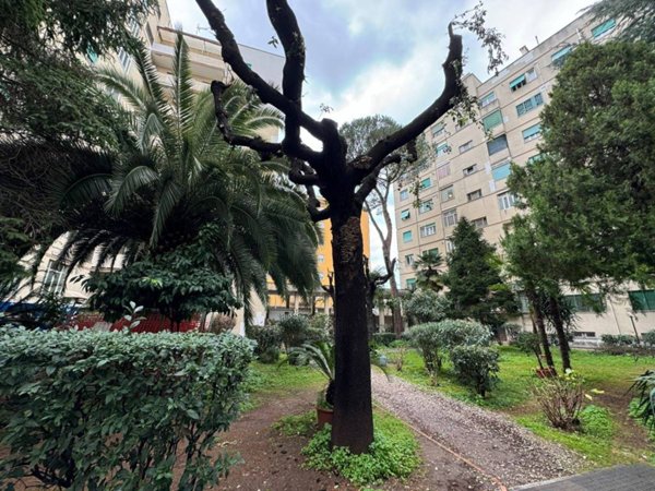 appartamento in vendita a Roma in zona Appio Claudio