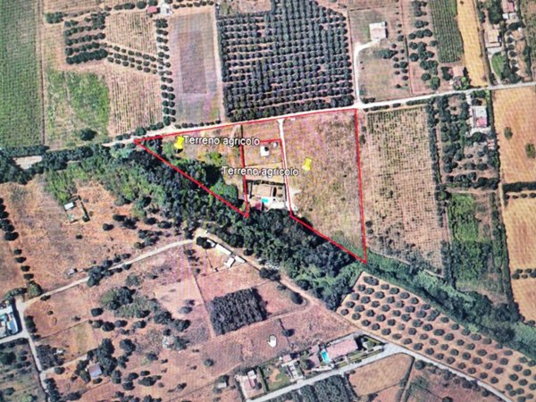 terreno agricolo in vendita a Roma in zona Spregamore