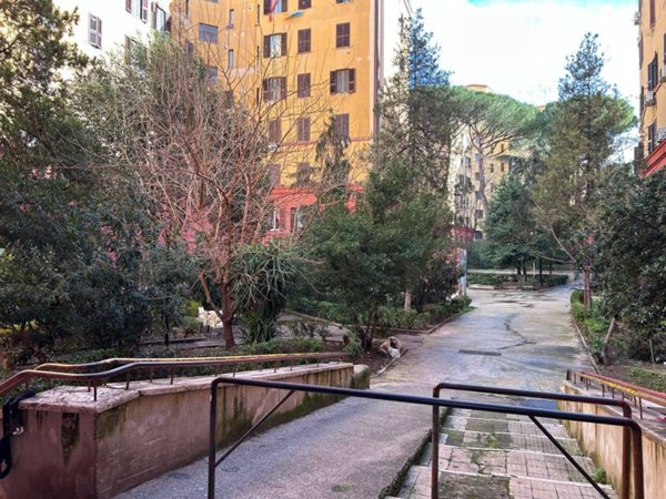 appartamento in vendita a Roma in zona Monte Sacro/Talenti