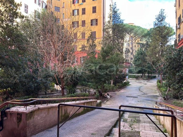 appartamento in vendita a Roma in zona Monte Sacro/Talenti
