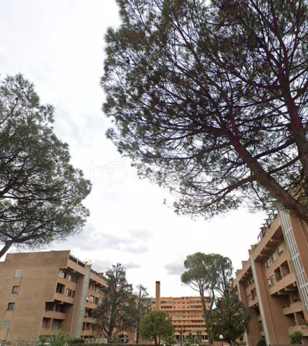 appartamento in vendita a Roma in zona Ardeatino