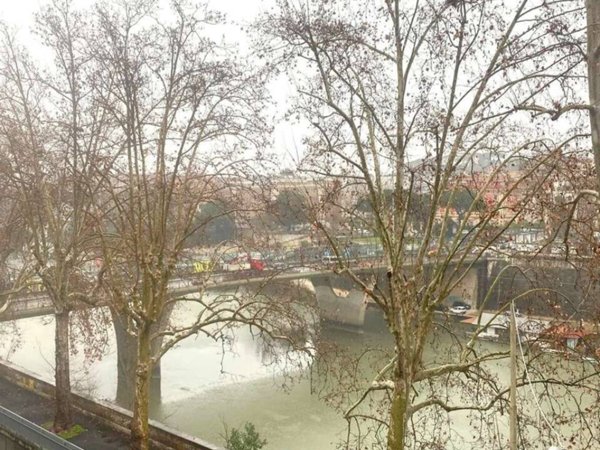 appartamento in vendita a Roma in zona Rione Prati