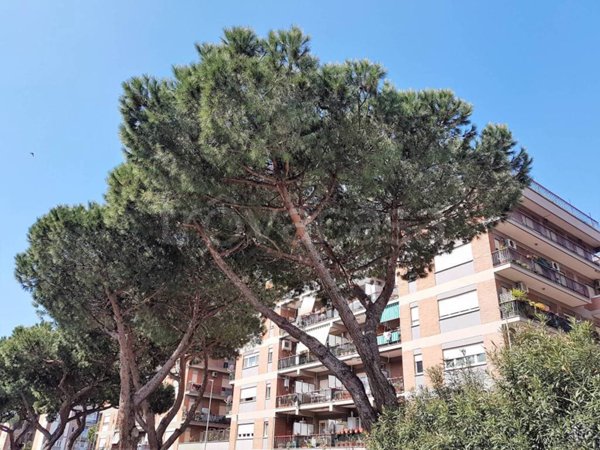 appartamento in vendita a Roma in zona Ostia
