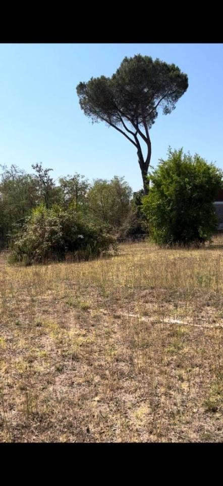 terreno agricolo in vendita a Roma in zona Prima Porta