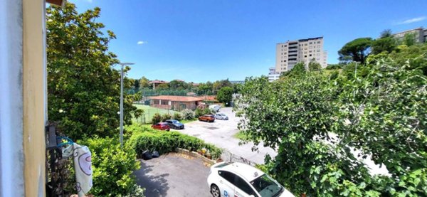 casa indipendente in vendita a Roma in zona Giuliano Dalmata