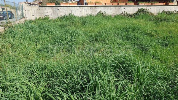 terreno agricolo in vendita a Roma in zona Infernetto