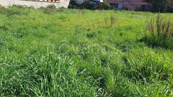 terreno agricolo in vendita a Roma in zona Infernetto