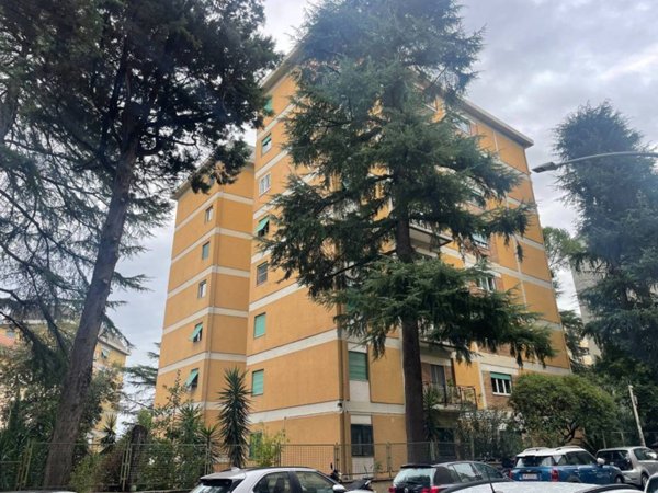 appartamento in vendita a Roma in zona Monte Sacro/Talenti