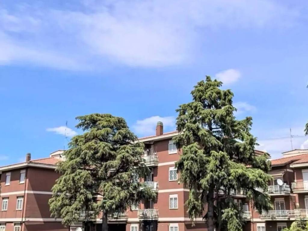 appartamento in vendita a Roma in zona Casal Morena