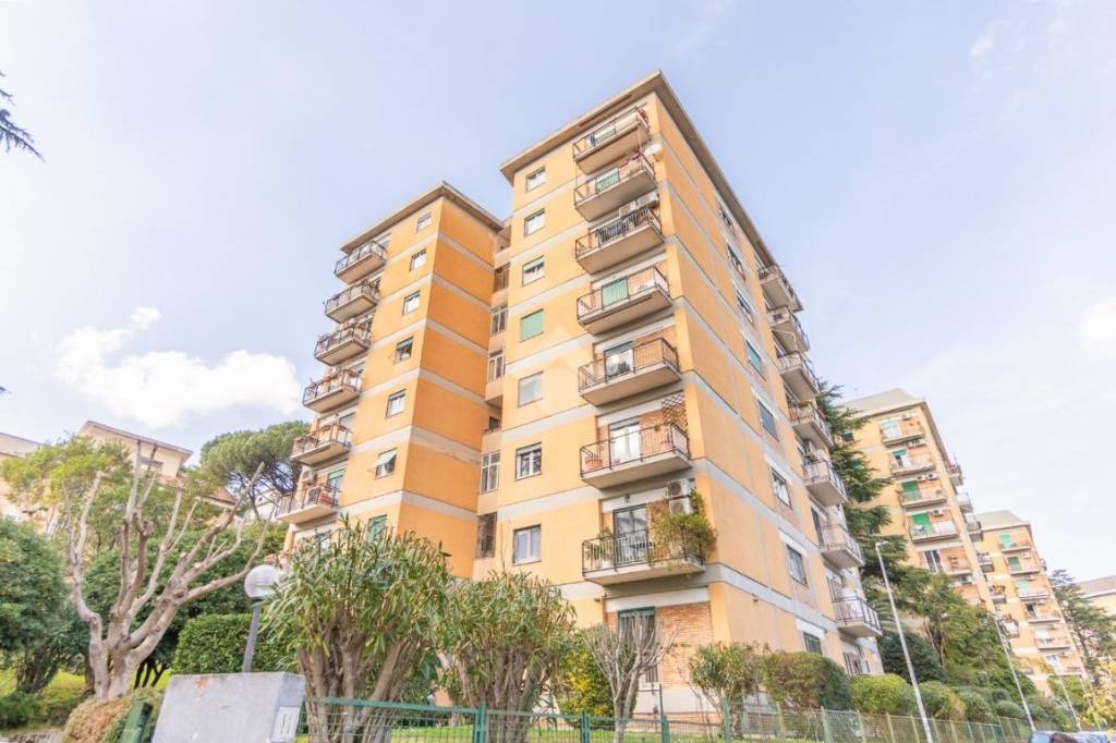 appartamento in vendita a Roma in zona Salario