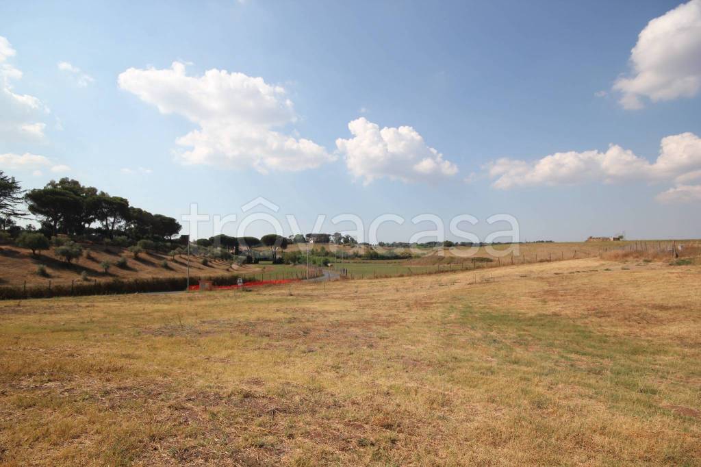 terreno agricolo in vendita a Roma in zona Castel di Leva