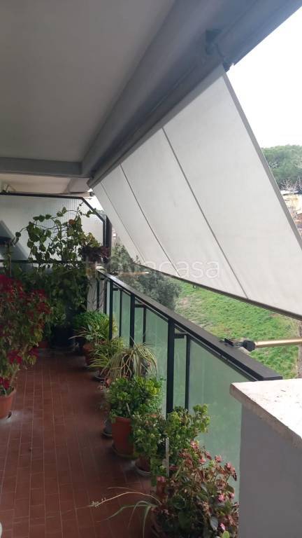 appartamento in vendita a Roma in zona Monte Sacro/Talenti