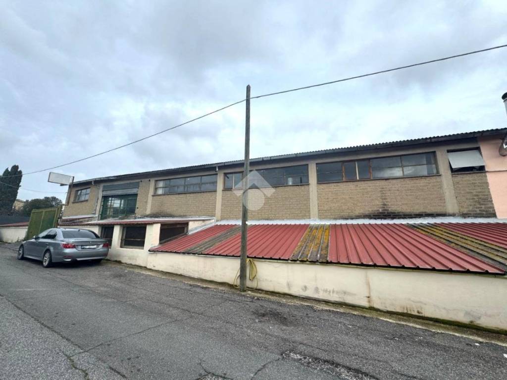 locale commerciale in vendita a Roma in zona Massimina/Casal Lumbroso